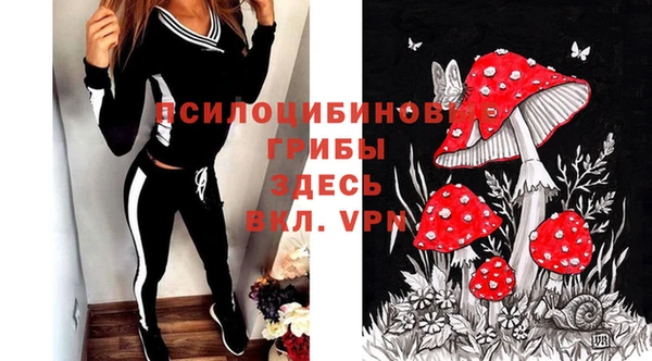 мдпв Абаза
