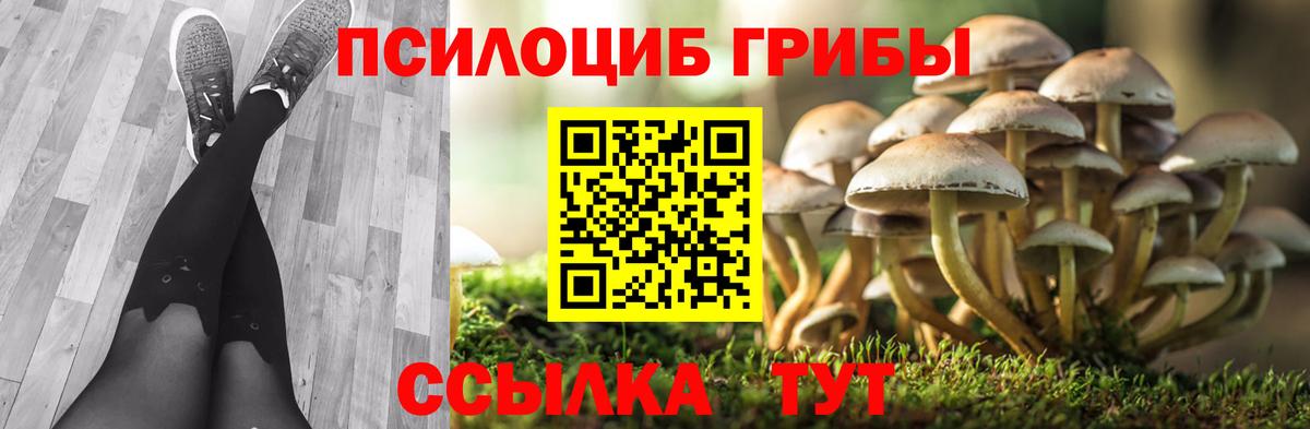 Галлюциногенные грибы Psilocybine cubensis  что такое наркотик  Ангарск  Вход с VPN 